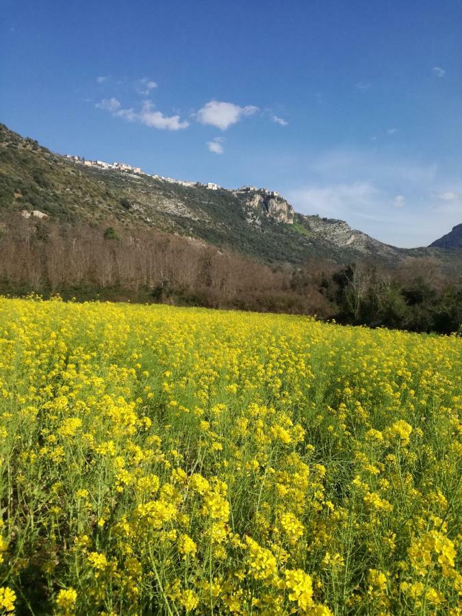 Casa La Calicchia Vendégház Norma Kültér fotó