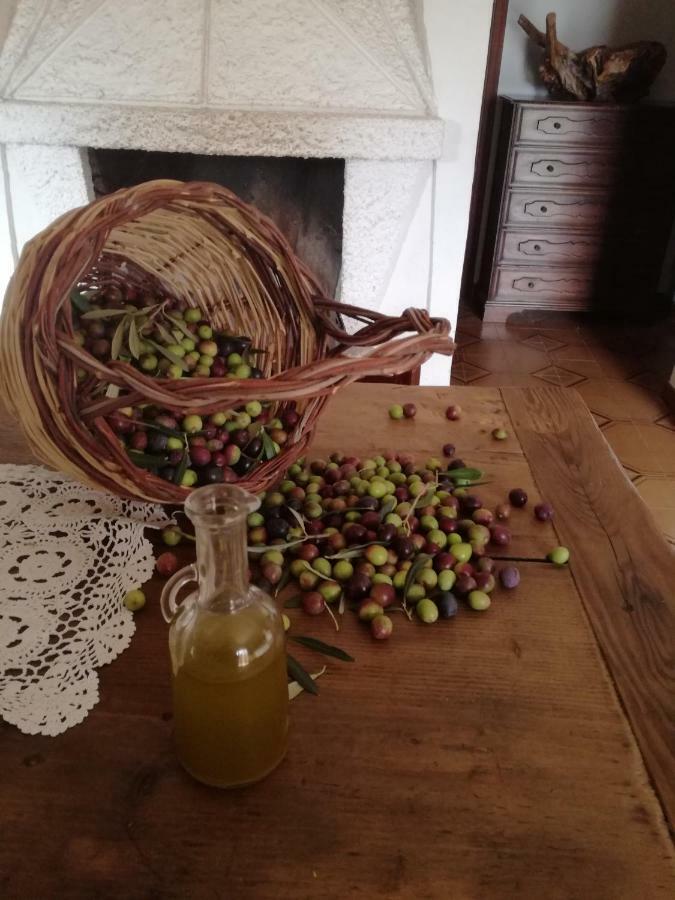 Casa La Calicchia Vendégház Norma Kültér fotó